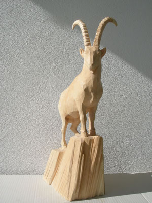 Alpensteinbock