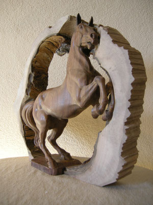 Pferd Paul Widmer
