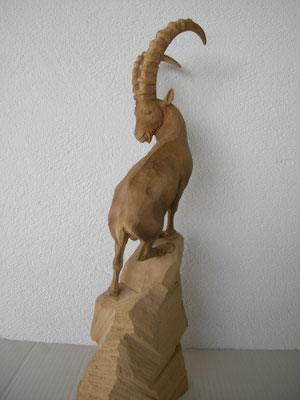 Steinbock Paul Widmer