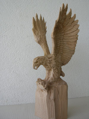 Steinadler