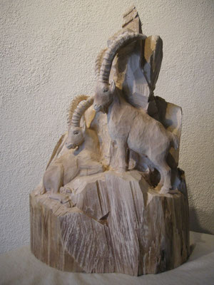 Steinbock von Paul Widmer