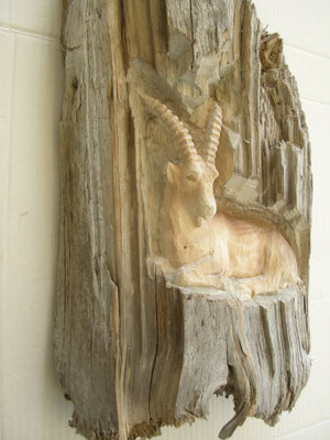 Steinbock Paul Widmer