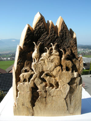 Steinbock Gruppe