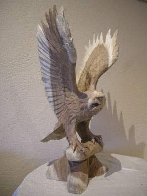 Steinadler