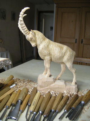 Steinbock in Arbeit