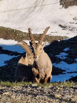 ...die auf dem Pass noch besser wurde!