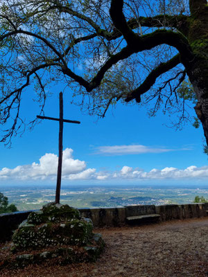 Cruz Alta
