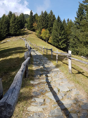Wanderung von Hochmuth (Bergstation) via Mutkopf zur Oberkaseralm (Spronser Tal)