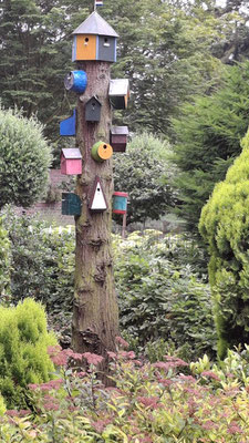 Vogelhäuschen in Arcen