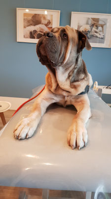 Lenny bei der Physiotherapie