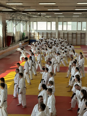 JKF Wado-Kai Course 17., 18.02.2024 led by Shuzo Imai and Christina Gutz in Budapest