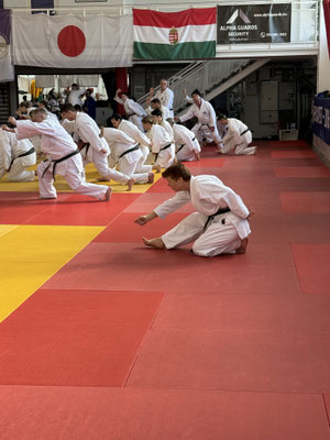 JKF Wado-Kai Course 17., 18.02.2024 led by Shuzo Imai and Christina Gutz in Budapest