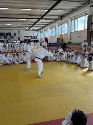 JKF Wado-Kai Course 17., 18.02.2024 led by Shuzo Imai and Christina Gutz in Budapest