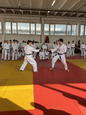 JKF Wado-Kai Course 17., 18.02.2024 led by Shuzo Imai and Christina Gutz in Budapest