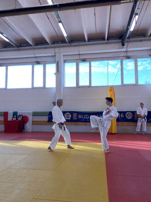 JKF Wado-Kai Course led by Shuzo Imai and Christina Gutz February 01 and 02, 2025 in Budapest