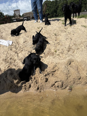 Badestrand wird geliebt