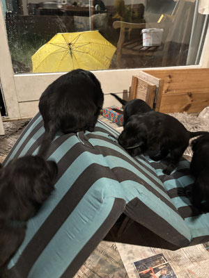 Die Klappmatratze als neue Aufgabe - draußen immer noch Regen. 