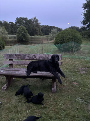 Cari liebt die Bank mit Mond -ich auch!