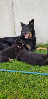 spielen mit Mama Deisy