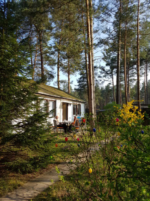 Ferienhaus Rheinsberger Seenlandschaft