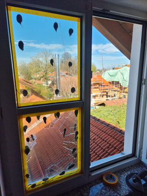 Glasreparatur Isolierglas mit Notverglasung - © Glaserei Allgaeuer