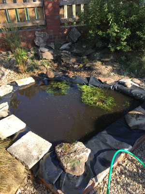 Summer rebuild of pond