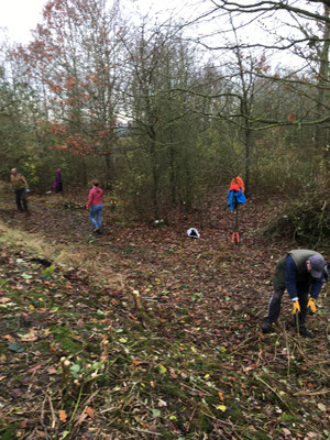 Work party, Shorthorn Woods