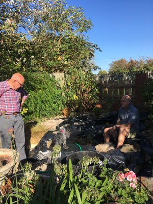 Summer rebuild of pond