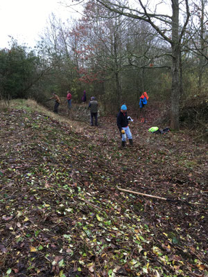 Work party, Shorthorn Woods