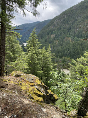 Blick auf den Fraser River