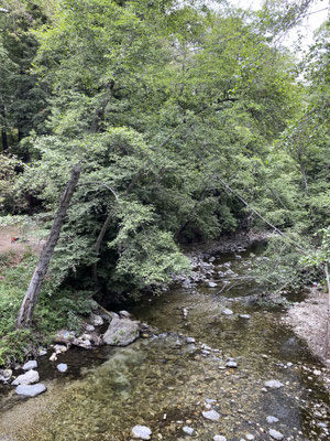 Fluss durch den Campingplatz