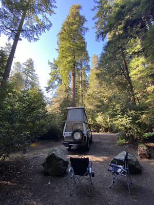 Wunderschöner Campingplatz unter Redwoods im Jedediah Smith State Park