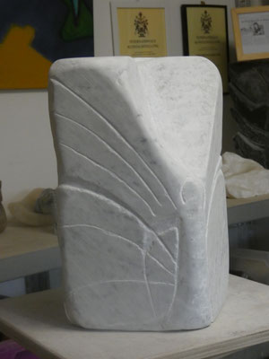 cflory.de                 Schmetterling