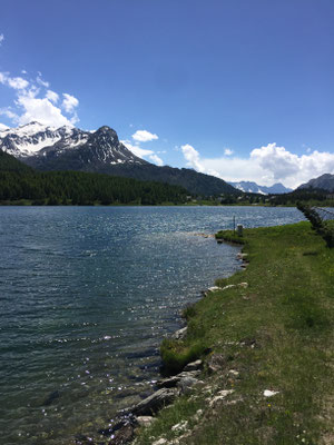 Silsersee