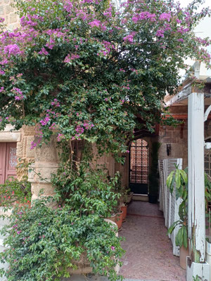 Blumenverzierte Gasse in der Alstadt