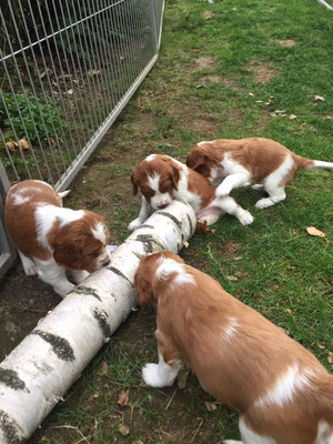 Alles ist so interessant..
