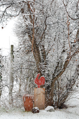 Roter Hahn im Winter