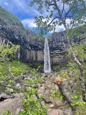 Der Svartifoss