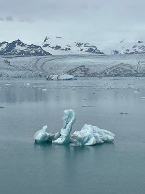 Eisige Schwäne treiben auf dem stillen Wasser