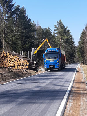 Mietfahrer LKW 
