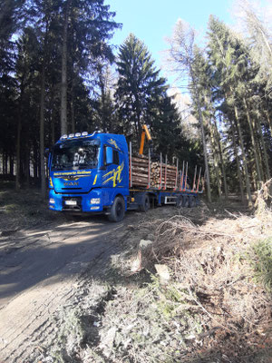 Mietfahrer LKW 