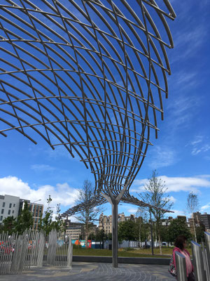 Dundee Tay Whale