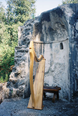 Harp by Andy Ozbolt