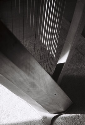 Harp by Andy Ozbolt