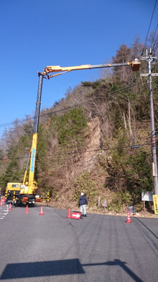 特殊車両４０M高所作業車で超高所の伐採も対応いたします