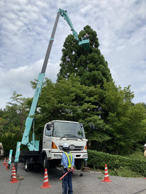 before　特殊車両を使用した台風による倒木を未然に防ぐ為の芯止め作業　
