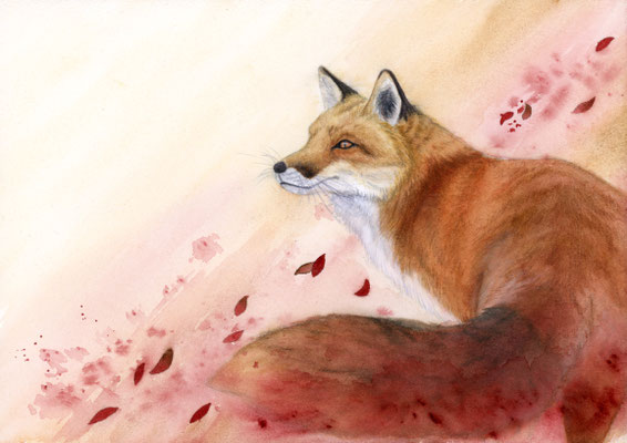 Fox - watercolour/watercolour pencils