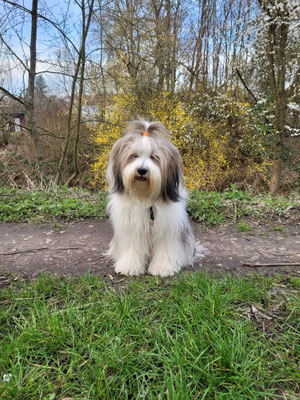 Lakshmi mit knapp 3 Jahren