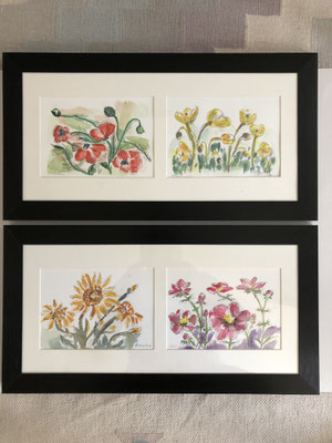 Arnika, Cosmea,  / Mohn, Alpenmohn je 47x25 m.R.  je 280.-