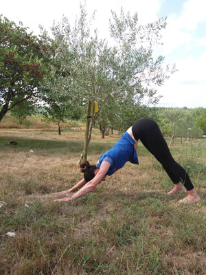Family Yoga Holidays South France
